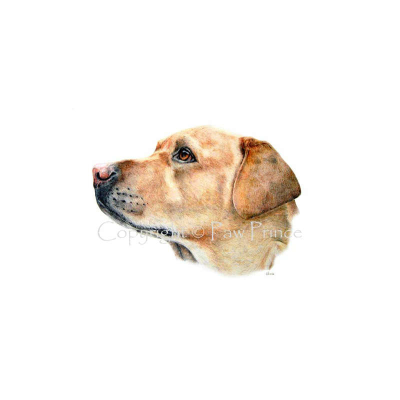 DOGS - PAW PRINCE PET ART